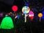 Hunter Valley Gardens Christmas Lights 2018-2019 Public Day Night Tour Image -5c149f413fb03